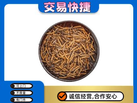 兴安盟乌兰浩特高价回收散虫草